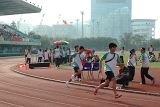SBS_ (1155).JPG